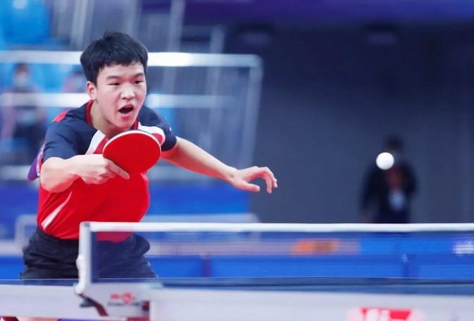 达拉斯小哈 达拉斯小哈