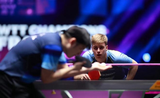 外的配合极 外的配合极