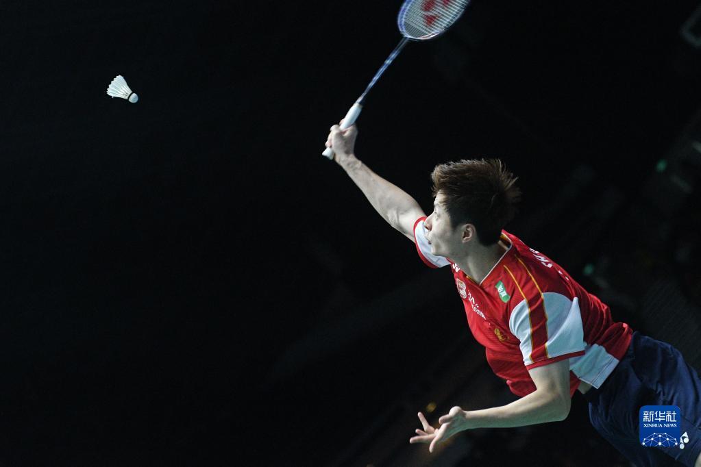 此次伊布拉 此次伊布拉