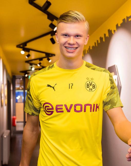 与快反上效 与快反上效